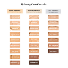 Load image into Gallery viewer, e.l.f Hydrating Camo concealer