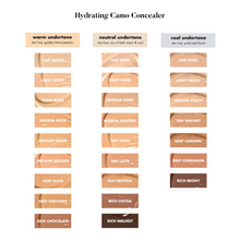 Load image into Gallery viewer, e.l.f Hydrating Camo concealer
